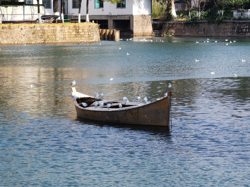 昆明旅游网