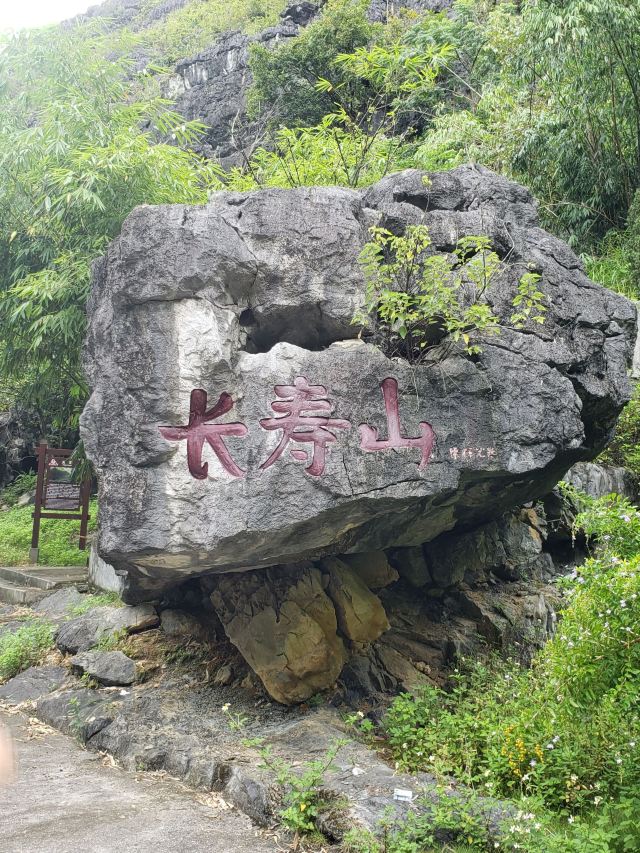 都安石头开花攻略,都安石头开花门票/游玩攻略/地址/图片/门票价格