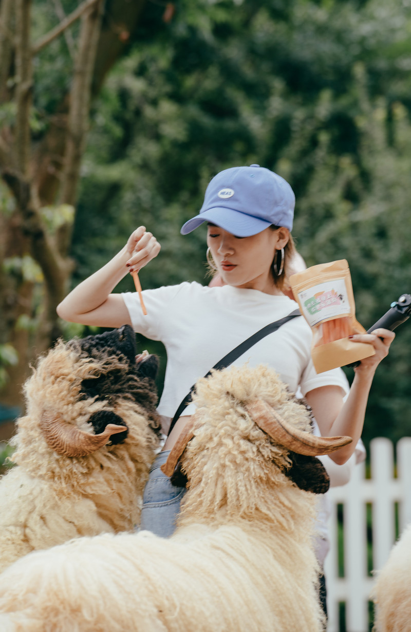 昆明旅游网