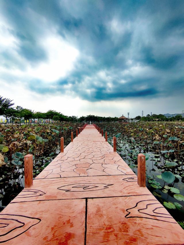 綠夢溼地生態園