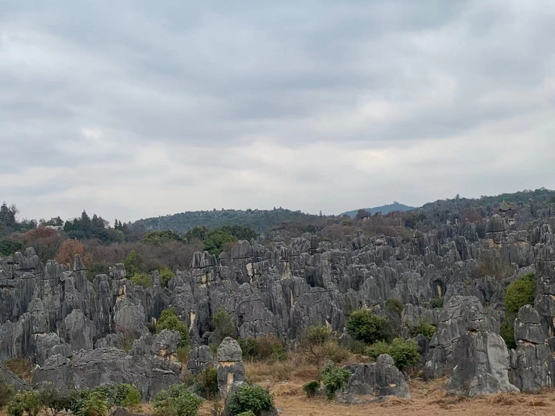 昆明旅游网