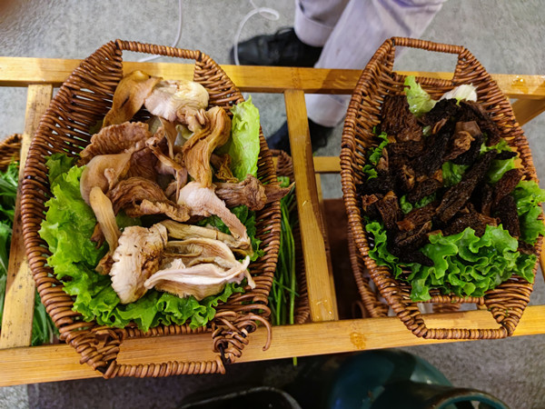 昆明旅游网