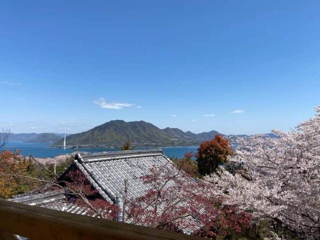 今治市開山公園攻略 今治市開山公園门票 游玩攻略 地址 图片 门票价格 携程攻略