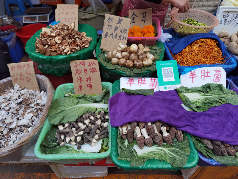 昆明旅游网