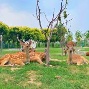 惠民鑫诚田园生态旅游区攻略-鑫诚田园生态旅游区门票价格多少钱-团购