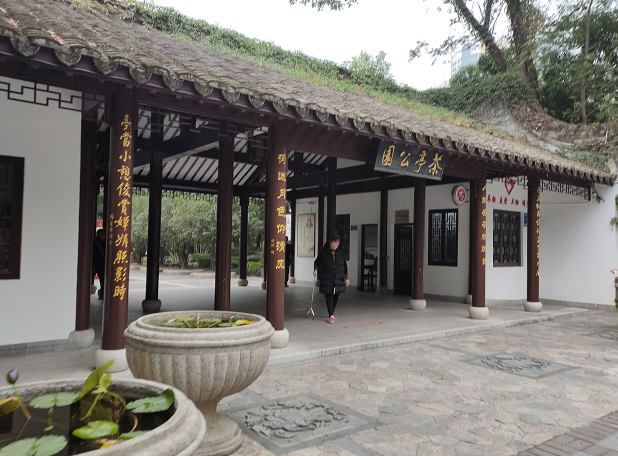 茶亭公园,三株古榕撑起的颜值——福建7日(15)