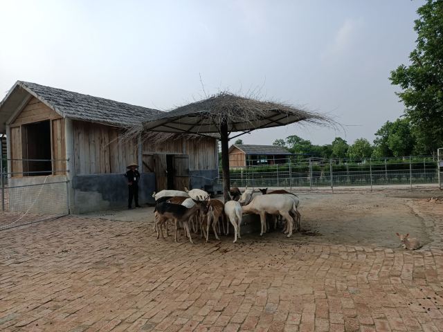 旅遊攻略社區>目的地>宿州野生動物園>