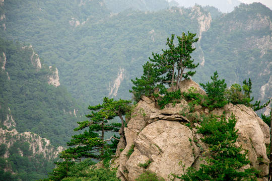 来河南南阳爬山吗?我给你拍照!房车避暑游!