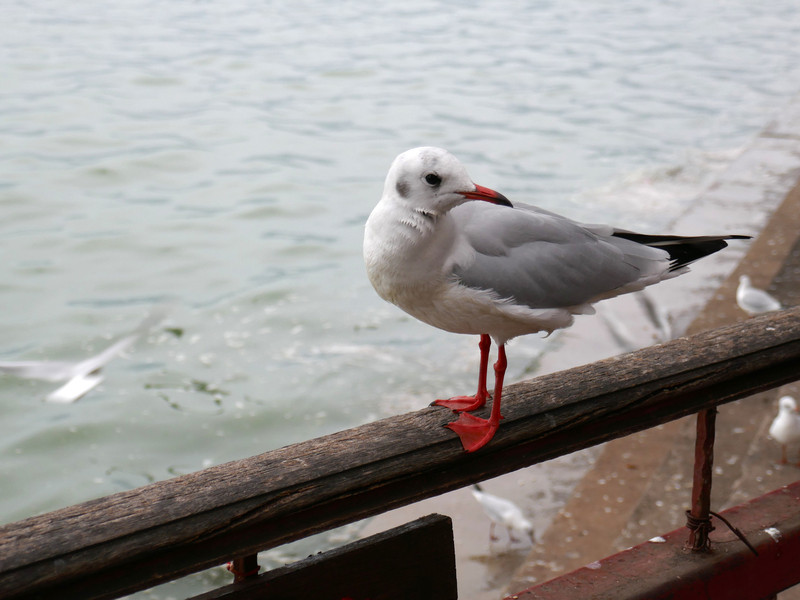 昆明旅游网