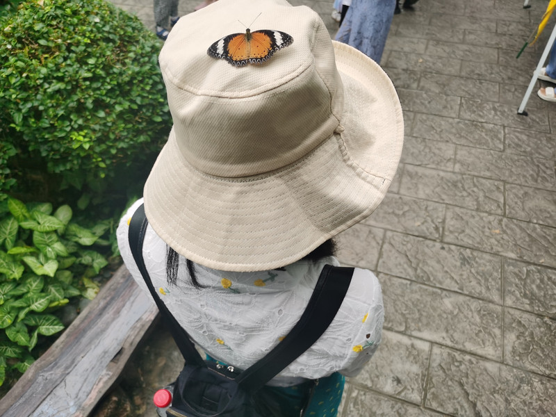 昆明旅游网