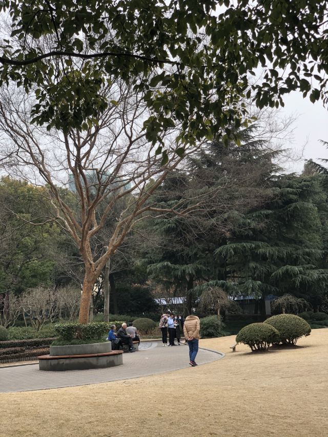 上海老鹰公园攻略,上海老鹰公园门票/游玩攻略/地址/图片/门票价格