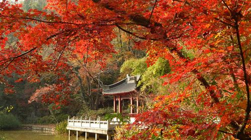 南京棲霞山攻略,南京棲霞山門票/遊玩攻略/地址/圖片/門票價格【攜程