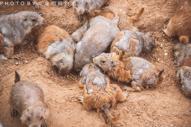 昆明旅游网