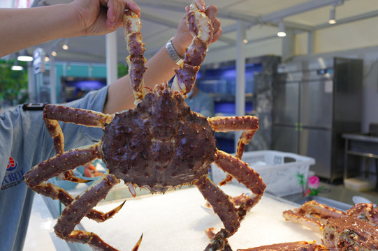 撑破256g大胃王第一轮:几百块钱一斤的新鲜帝王蟹,经过反复询问,是的