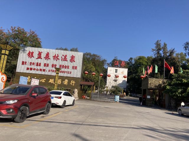 银盏森林温泉