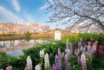 无锡鼋头渚+三国城+水浒城一日游【上海出发&精选纯玩】【服务保障：本地专职导游讲解，带您畅游锡城，体验“三分看、七分听”的魅力，赏太湖湖泊风光！】