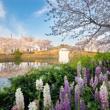 无锡鼋头渚+三国城+水浒城一日游【上海出发&精选纯玩】