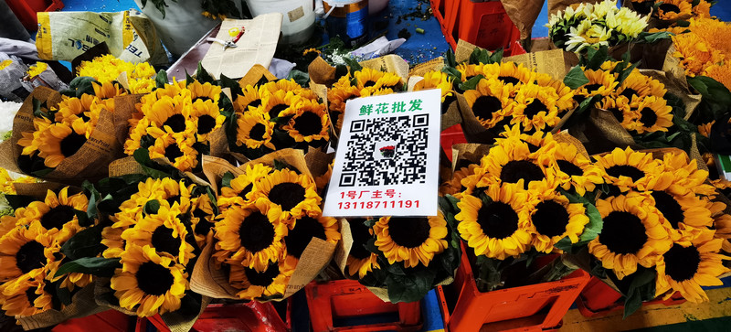 昆明旅游网
