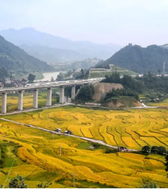 台江游记图文-黔东南篇 | 贵州乡村旅游重点村出行攻略