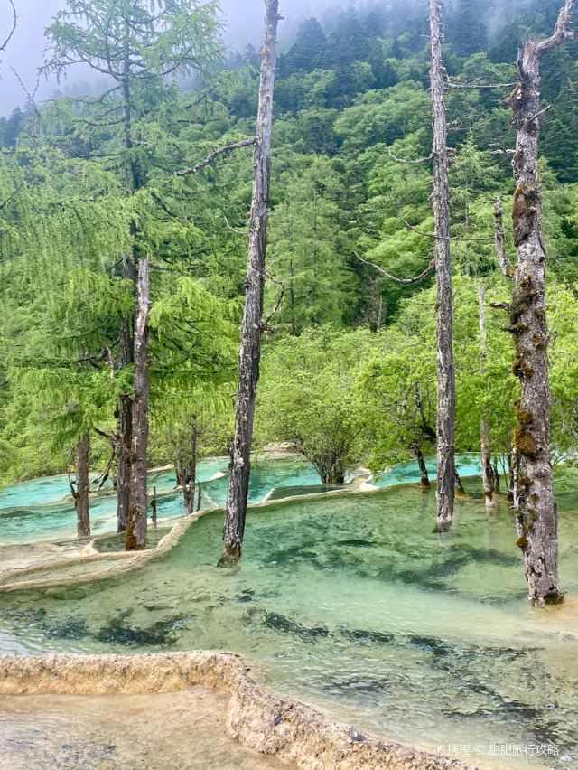 黄龙山原始森林景区