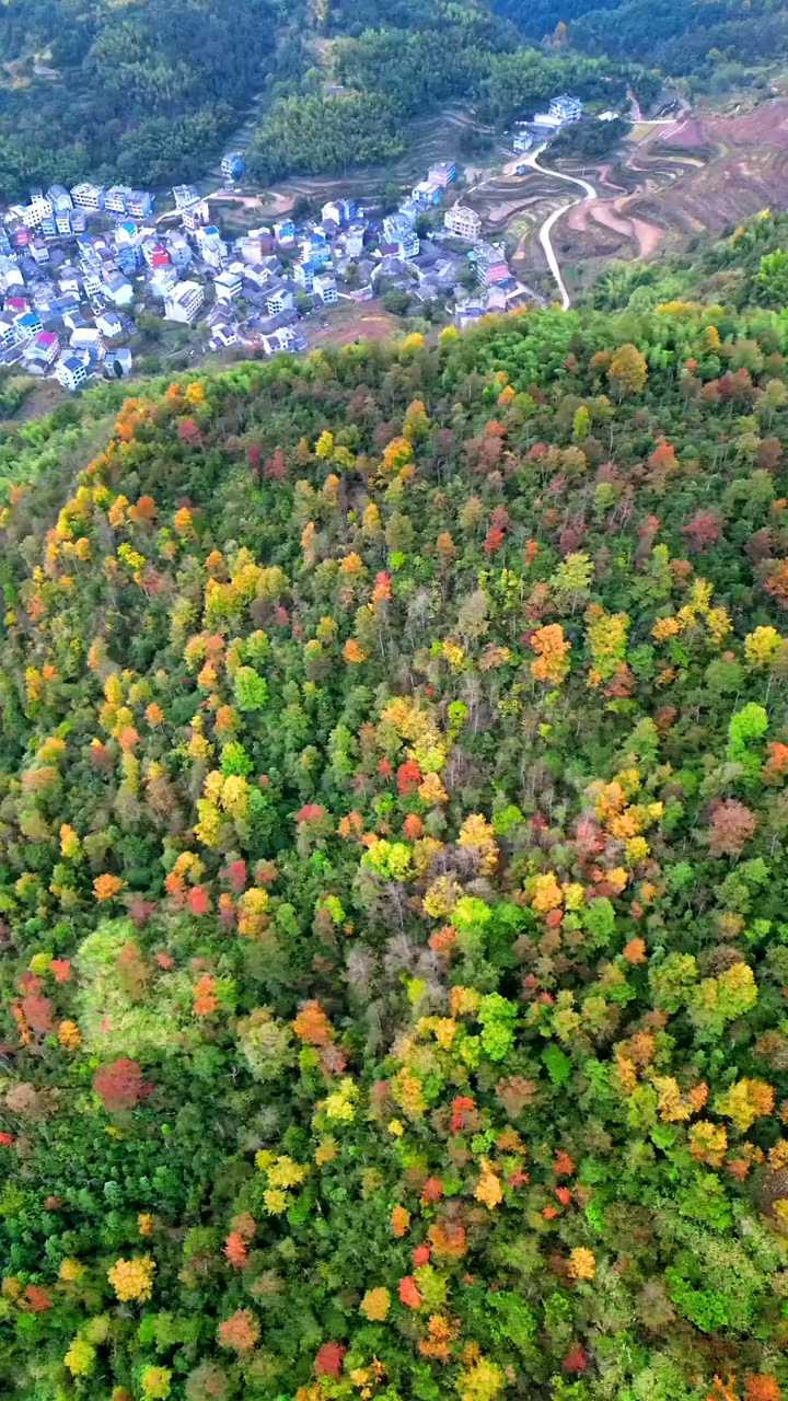不用去西北，永嘉楠溪江也有诗和远方 这样美的公路不输任何地方。#属于秋天 的颜色#周边游#一起来拍秋