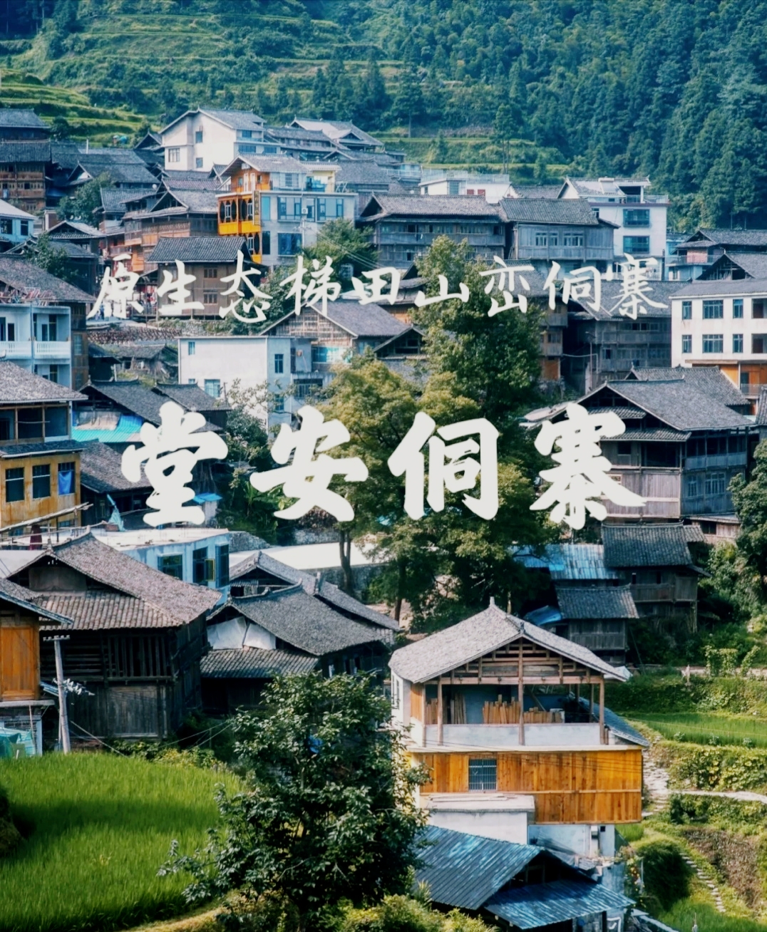 堂安侗寨‖惊艳时光的古村落，打卡景区景点