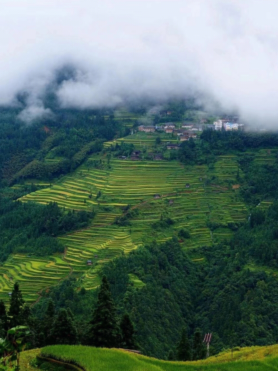 贵州秘境|梯田环抱的苗寨，童年夏天的味道