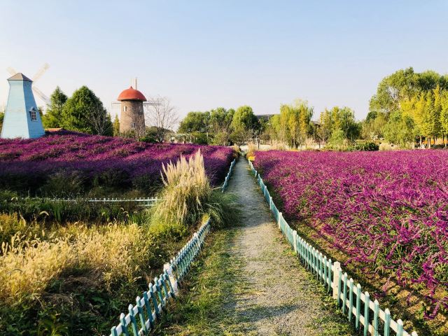 嘉善云澜湾·四季花海乐园攻略,嘉善云澜湾·四季花海乐园门票/游玩