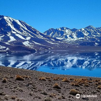 智利圣佩德罗-德阿塔卡马安第斯高原湖泊+Salar de Atacama一日游