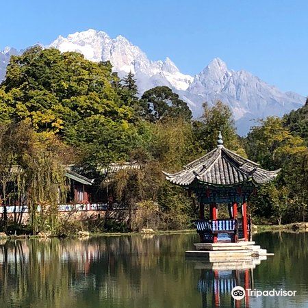 尼龙村