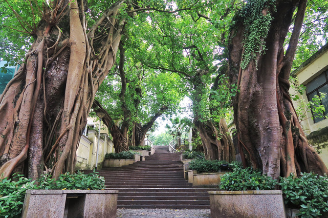 澳门 - 一个灯红酒绿又清新文艺的地方 - 澳门游