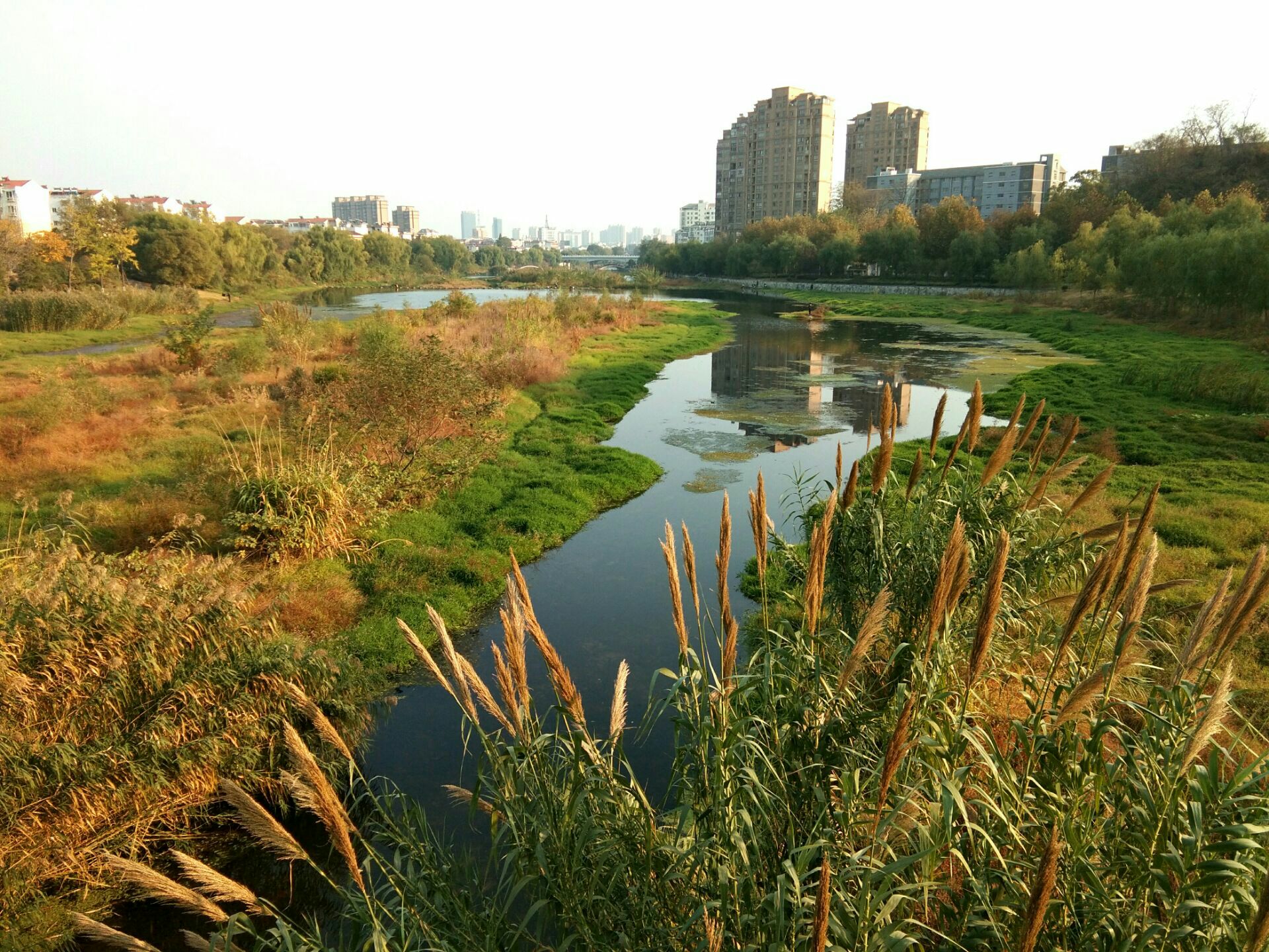 龙眠河公园