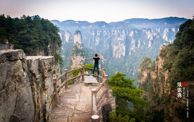 行程:袁家界-杨家界 游览:百龙天梯,哈利路亚山,空中走廊,一步登 