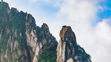 shutterstock_1128966137