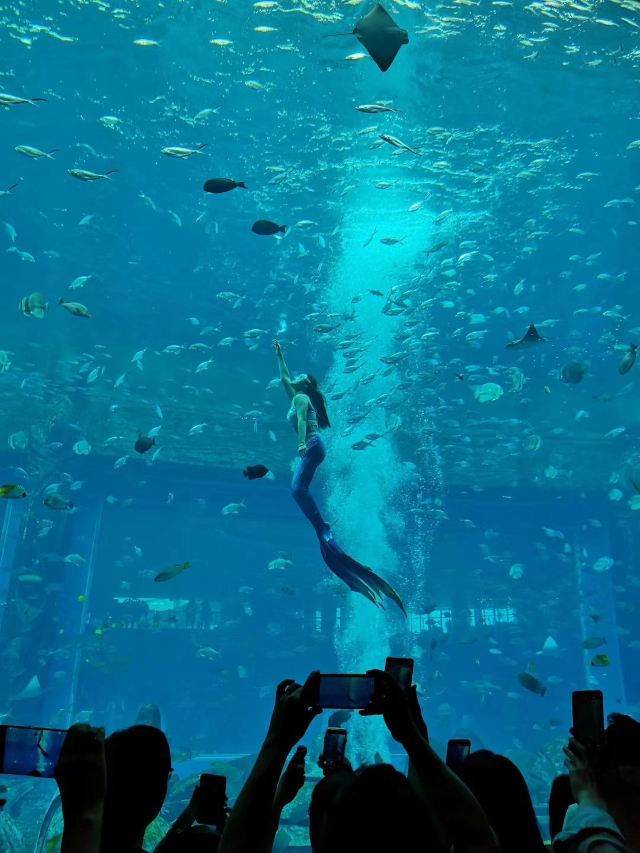 墨尔本墨尔本水族馆攻略,墨尔本墨尔本水族馆门票/游玩攻略/地址/图片