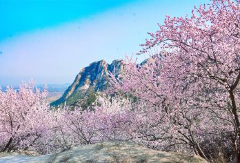 北京北京后花园(白虎涧)包车一日游【上门接送/出发时间自由】【自然景观与人文景观交相辉映，为游客带来丰富的视觉与心灵享受。】