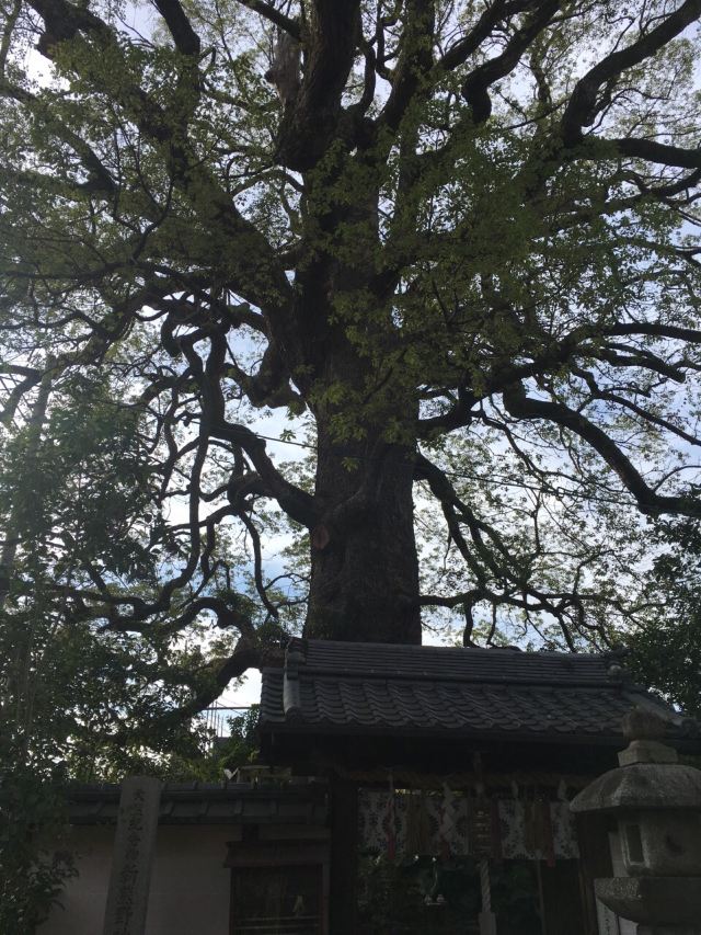 熊野若王子神社