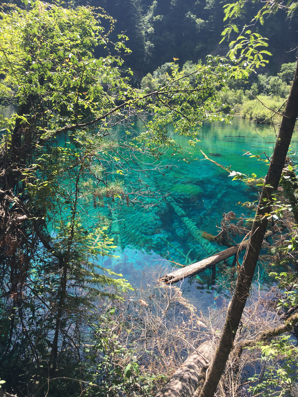 成都、峨眉、九寨沟八日游(7. 九寨天堂)