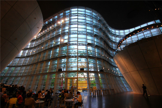 落樱缤纷季的东京,美食,购物,动漫一网打尽!