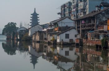 上海市泗泾婵之云内衣_上海市之俊大厦图片