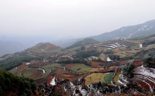 大桥乡