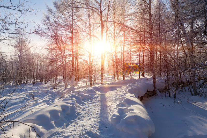 太阳渐渐升起来,橘黄色的阳光透过树林,撒将在白雪上,风马旗上,美丽极