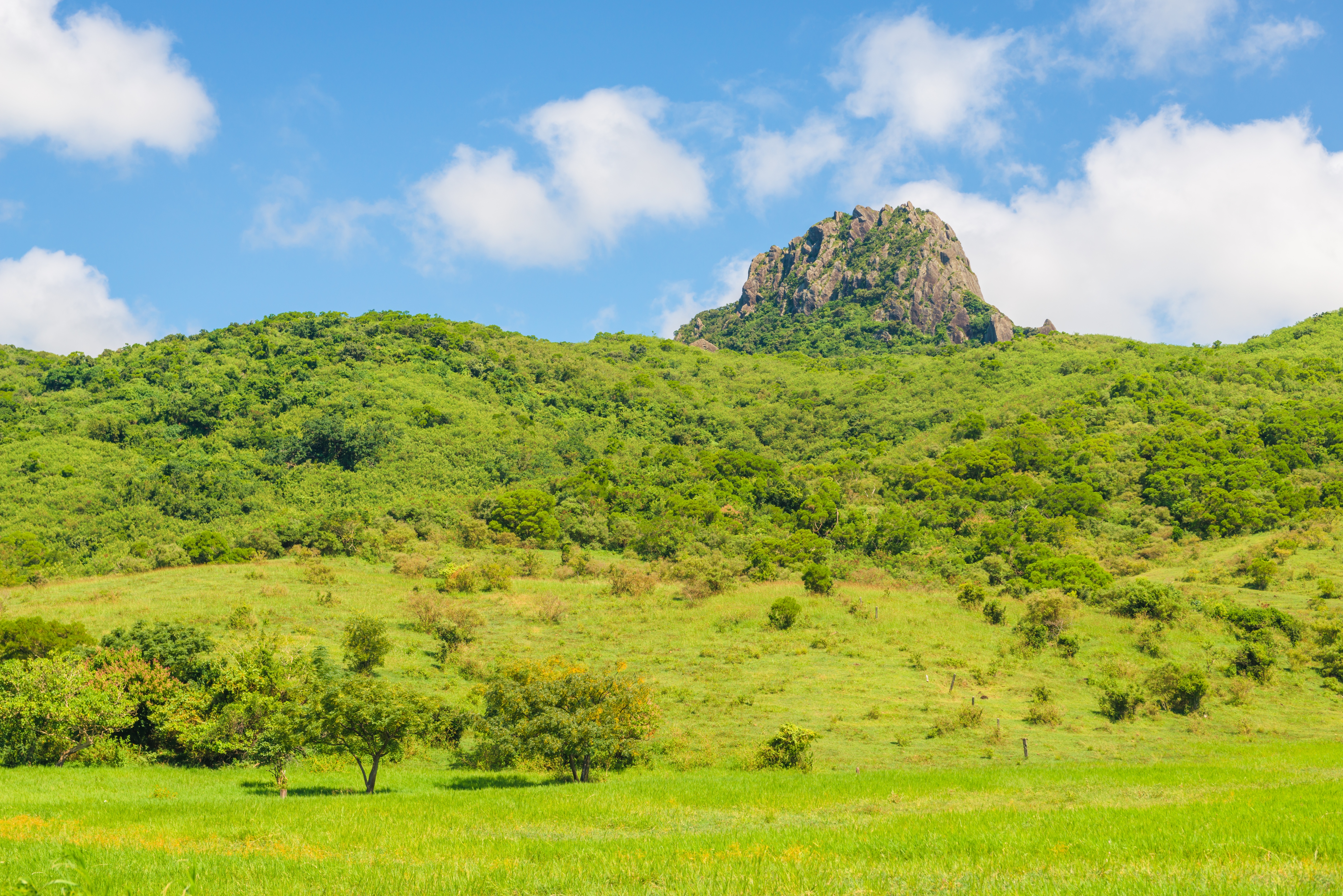 大尖山