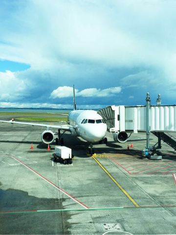 机场刷GDP_大兴机场(2)