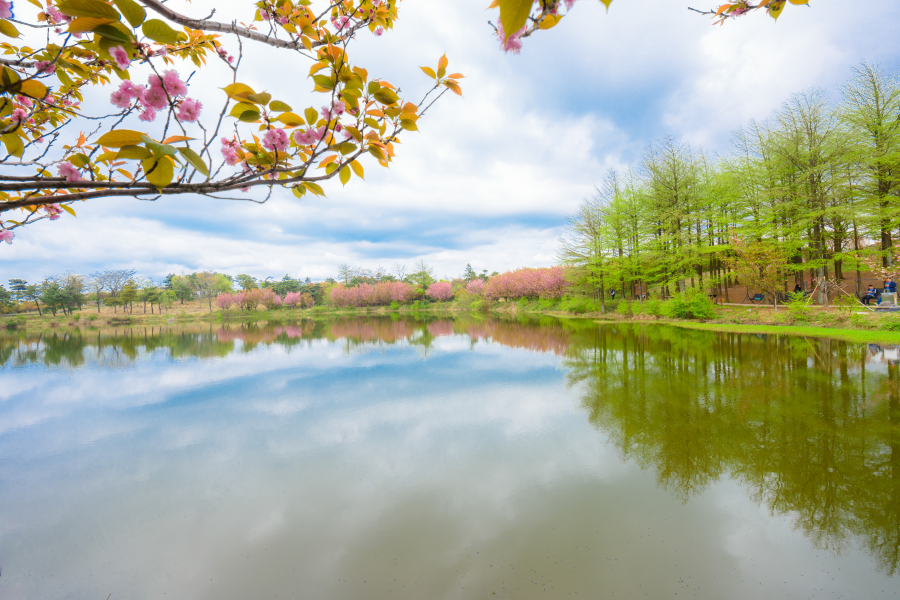 余姚阳明温泉山庄1晚 四明山地质公园景区门票·看山看水