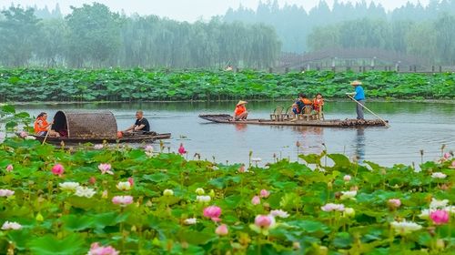 【专业中\/英文导游】南京到高淳一日游(贴心服