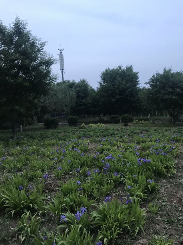 老山城市休閒公園