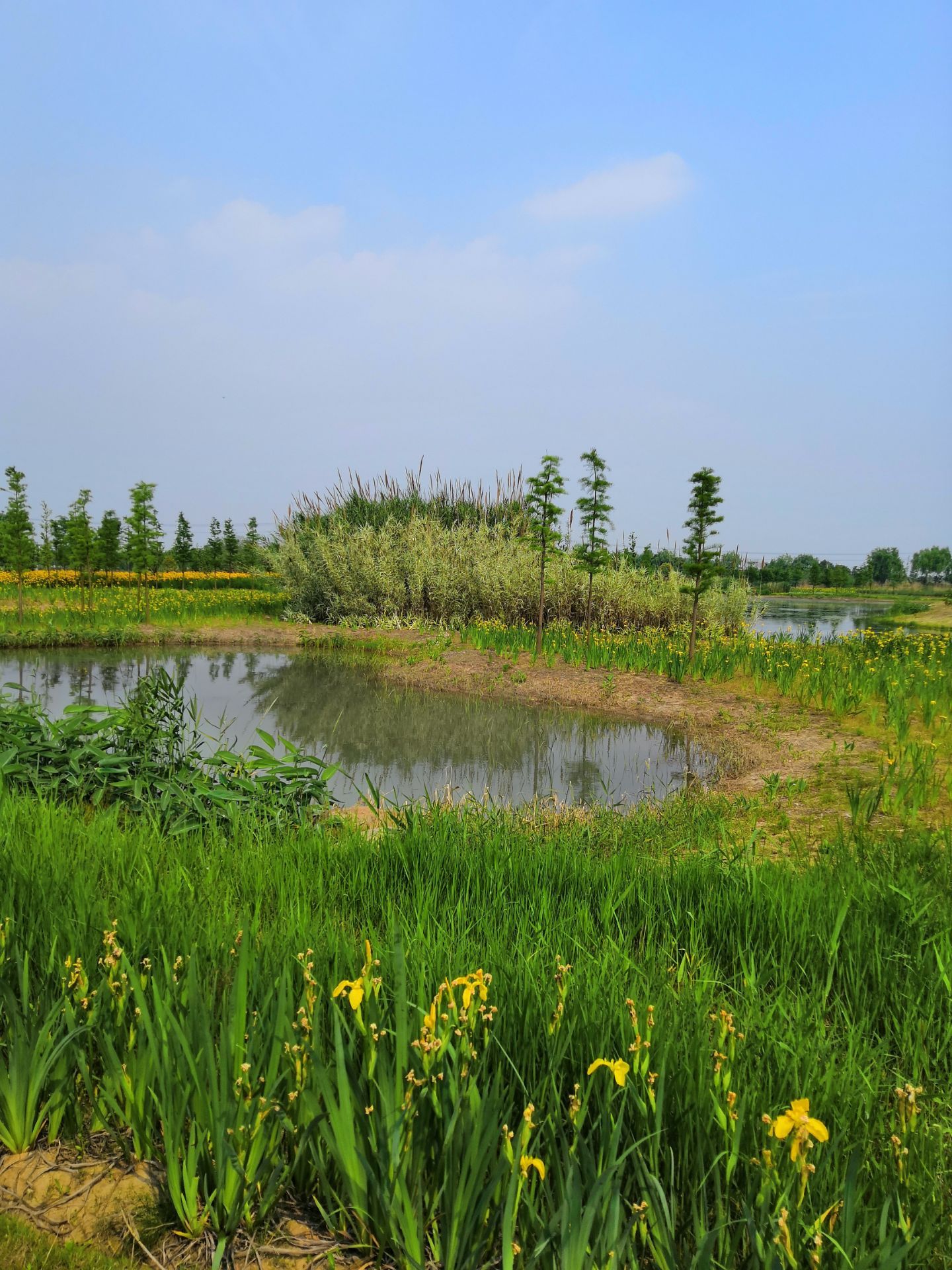 舞鹤风景区