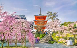 京都kiyomizu Dera Temple天气预报 历史气温 旅游指数 Kiyomizu Dera Temple一周天气预报 携程攻略