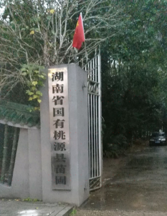 湖南省国有桃源县苗圃